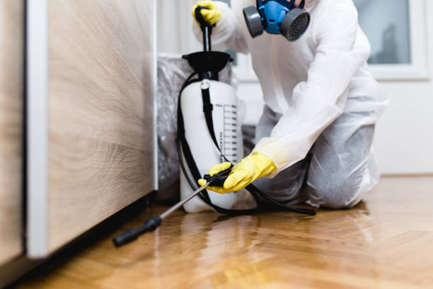 Best Ant Control Services  in Berne, IN