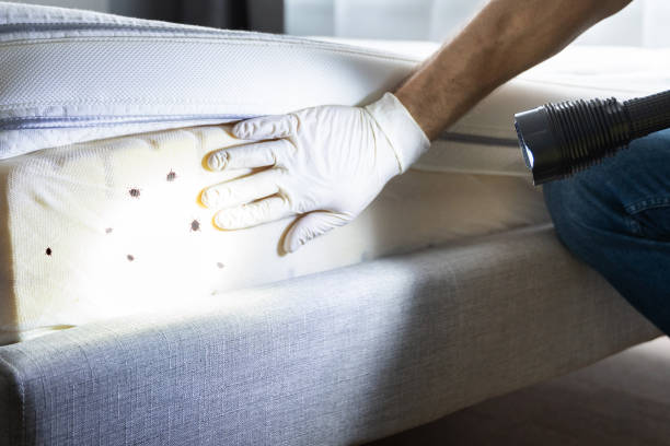Best Emergency Pest Control  in Berne, IN