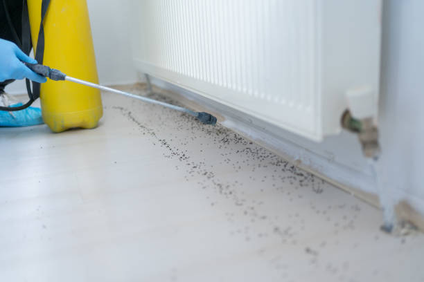 Best Pest Inspection Near Me  in Berne, IN