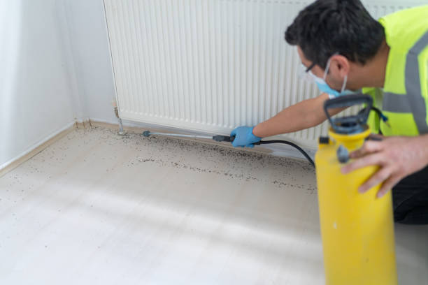 Best Flea Control Services  in Berne, IN
